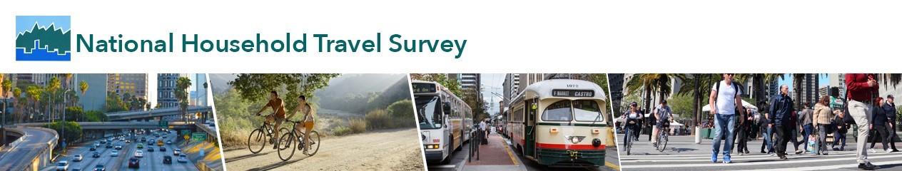 Image for National Household Travel Survey